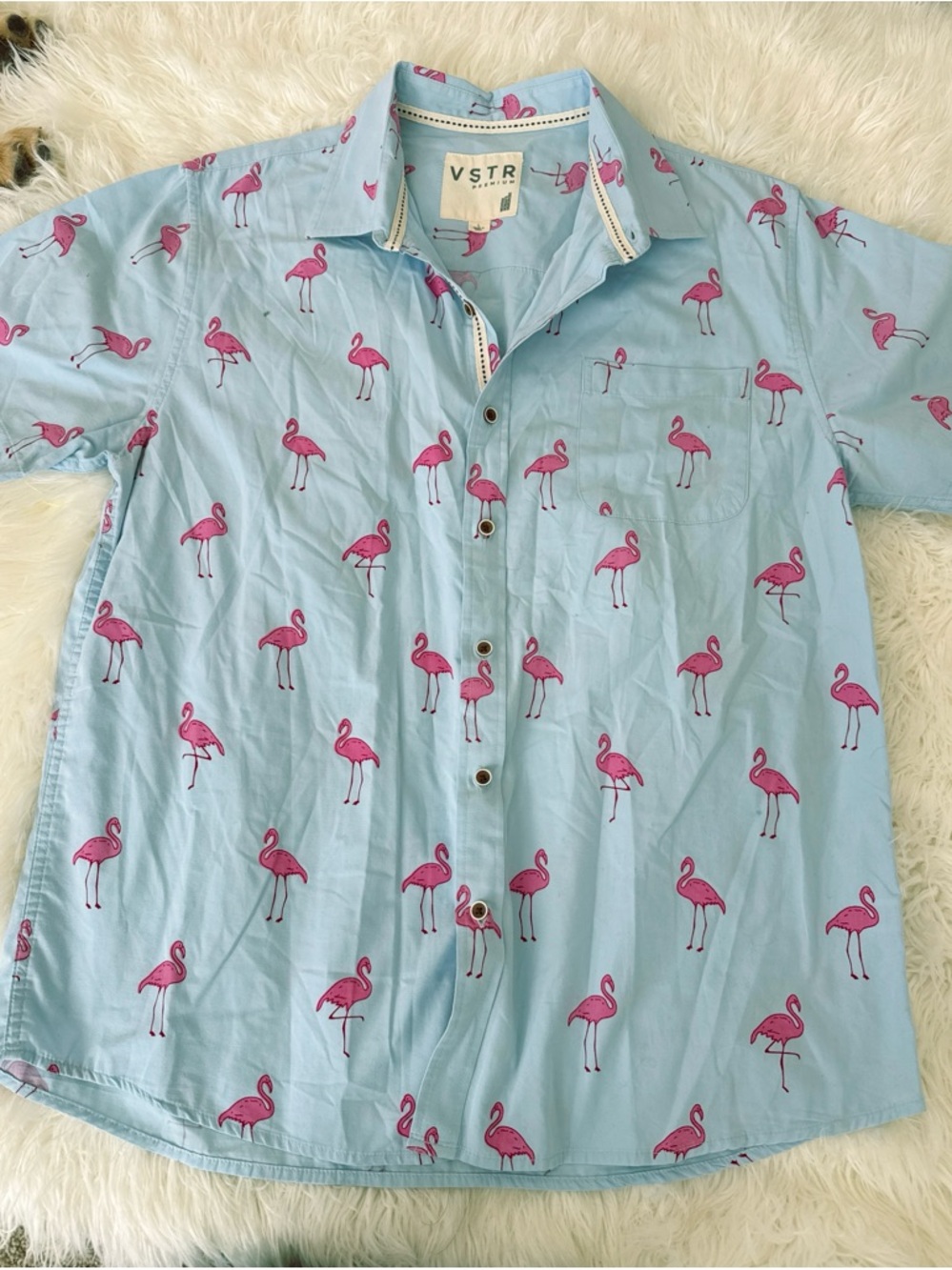 VSTR Light Blue Flamingo Print Short-Sleeve Button-Down Shirt